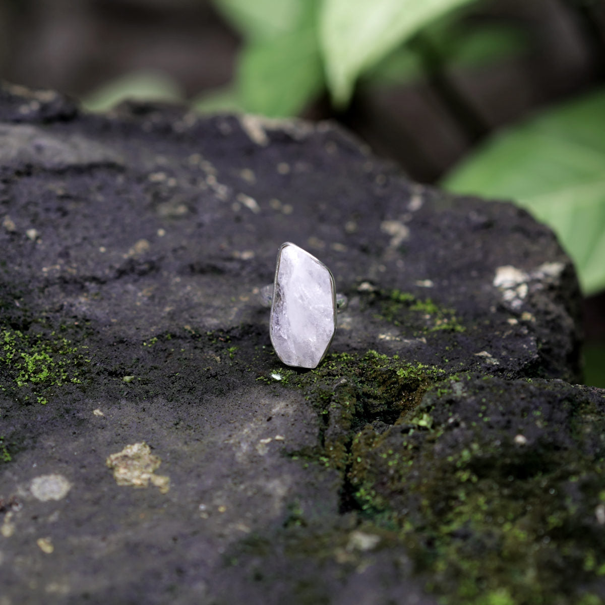 MOONSTONE RING (925 Sterling Silver+)
